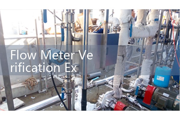 Flow meter verification experiment report
